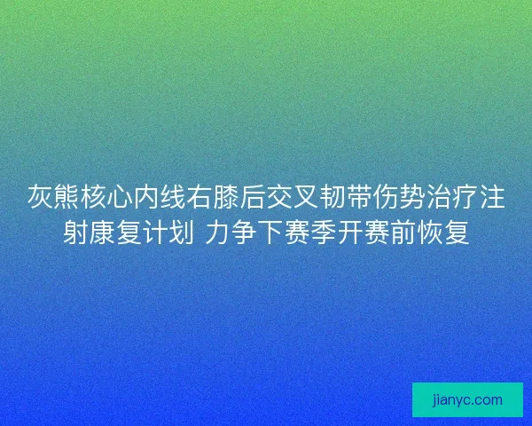 灰熊核心内线右膝后交叉韧带伤势治疗注射康复计划 力争下赛季开赛前恢复