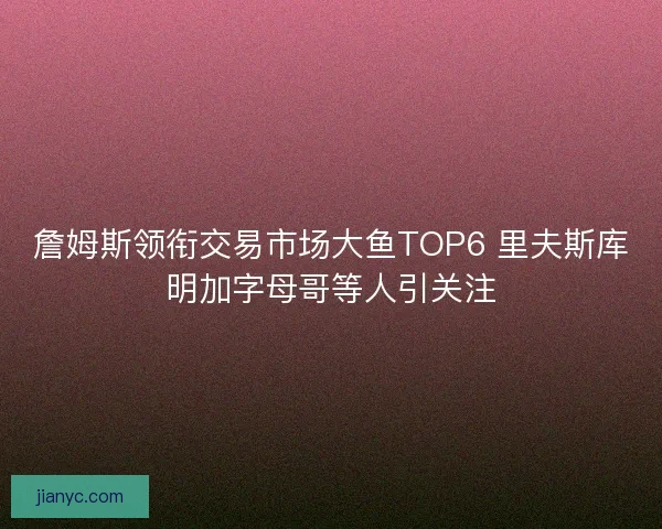 詹姆斯领衔交易市场大鱼TOP6 里夫斯库明加字母哥等人引关注