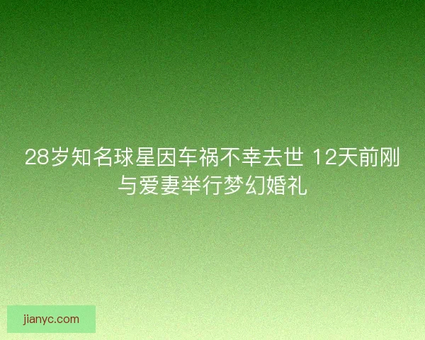 28岁知名球星因车祸不幸去世 12天前刚与爱妻举行梦幻婚礼