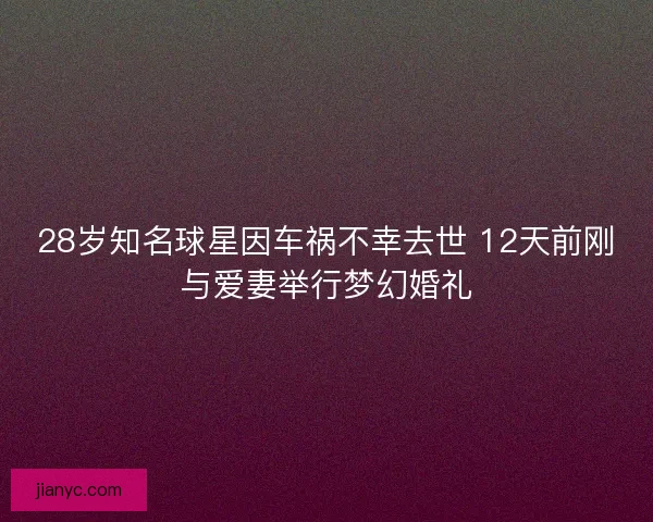 28岁知名球星因车祸不幸去世 12天前刚与爱妻举行梦幻婚礼 28岁知名球星因车祸不幸去世 12天前刚与爱妻举行梦幻婚礼